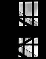 IMG_3510