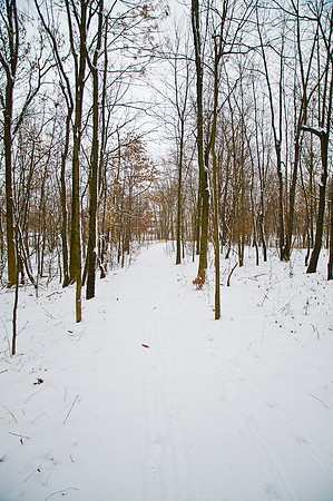 Winter Trail