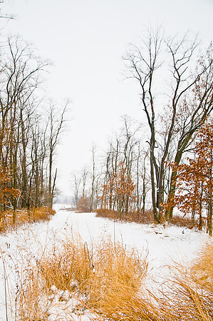 Winter Trail